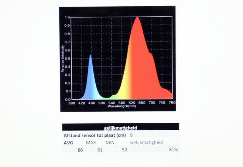 Vitroplus kweekt in flinke klimaatkamers onder specifieke ledverlichting de gewassen in verticaalteelt. Daarbij wordt gebruik gemaakt van afzonderlijke lampjes. Om een goede lichtmenging te krijgen, is een bepaalde minimumafstand tussen lichtbron en gewas nodig.