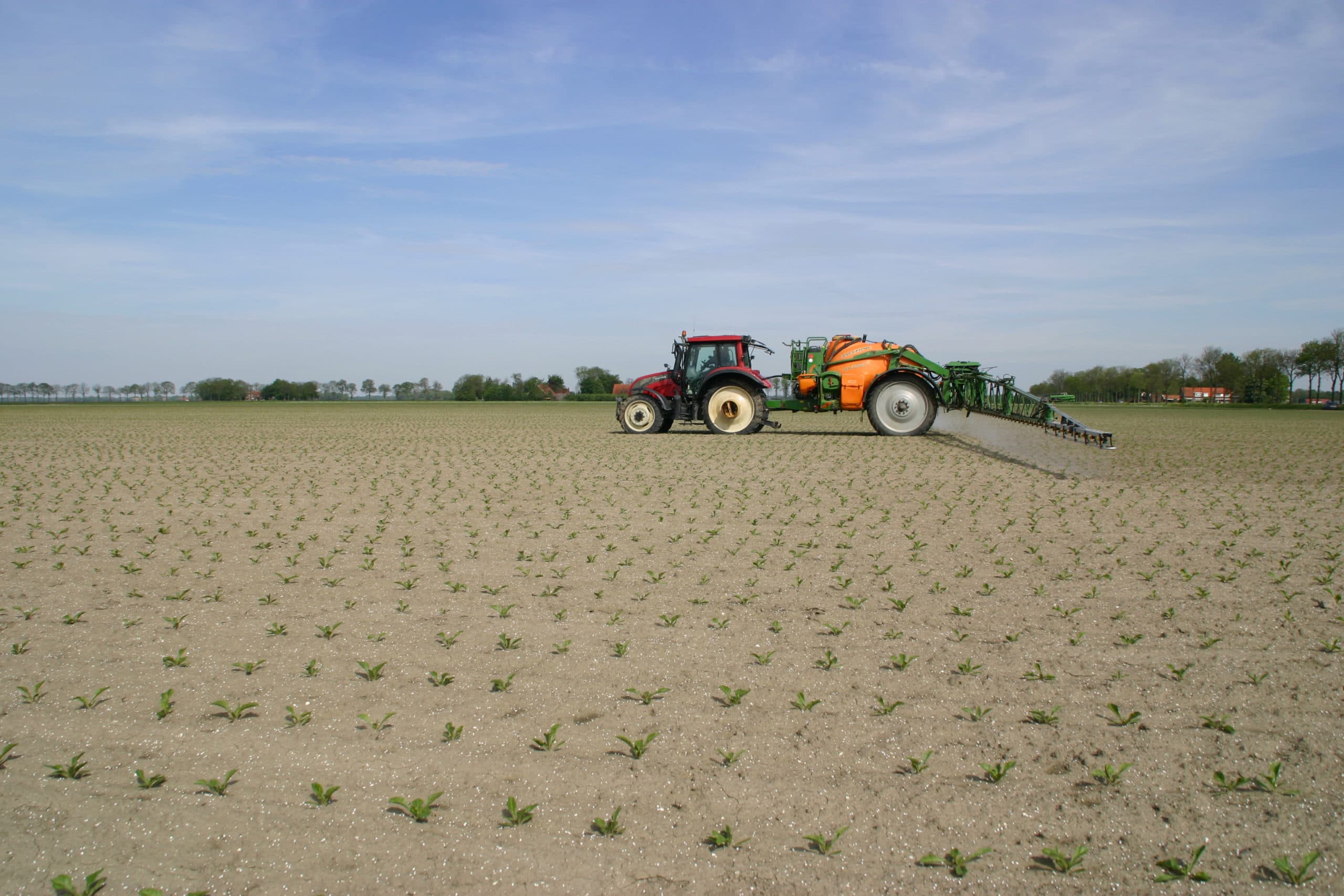 Foto: Boerderij