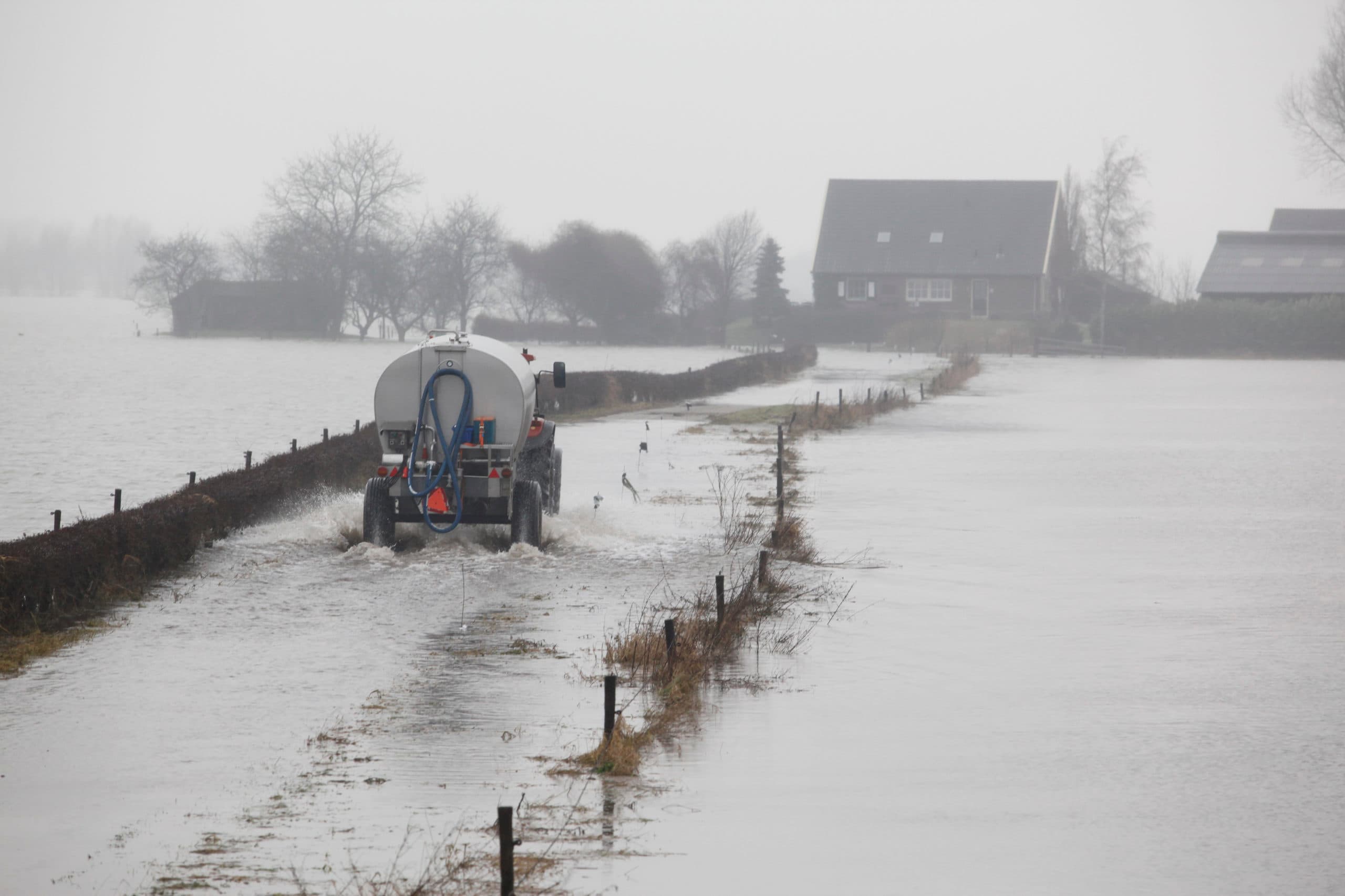 2011: hoogwater bij een melkveebedrijf in de buurt van het Gelderse Doesburg. - Foto: Jan Willem Schouten