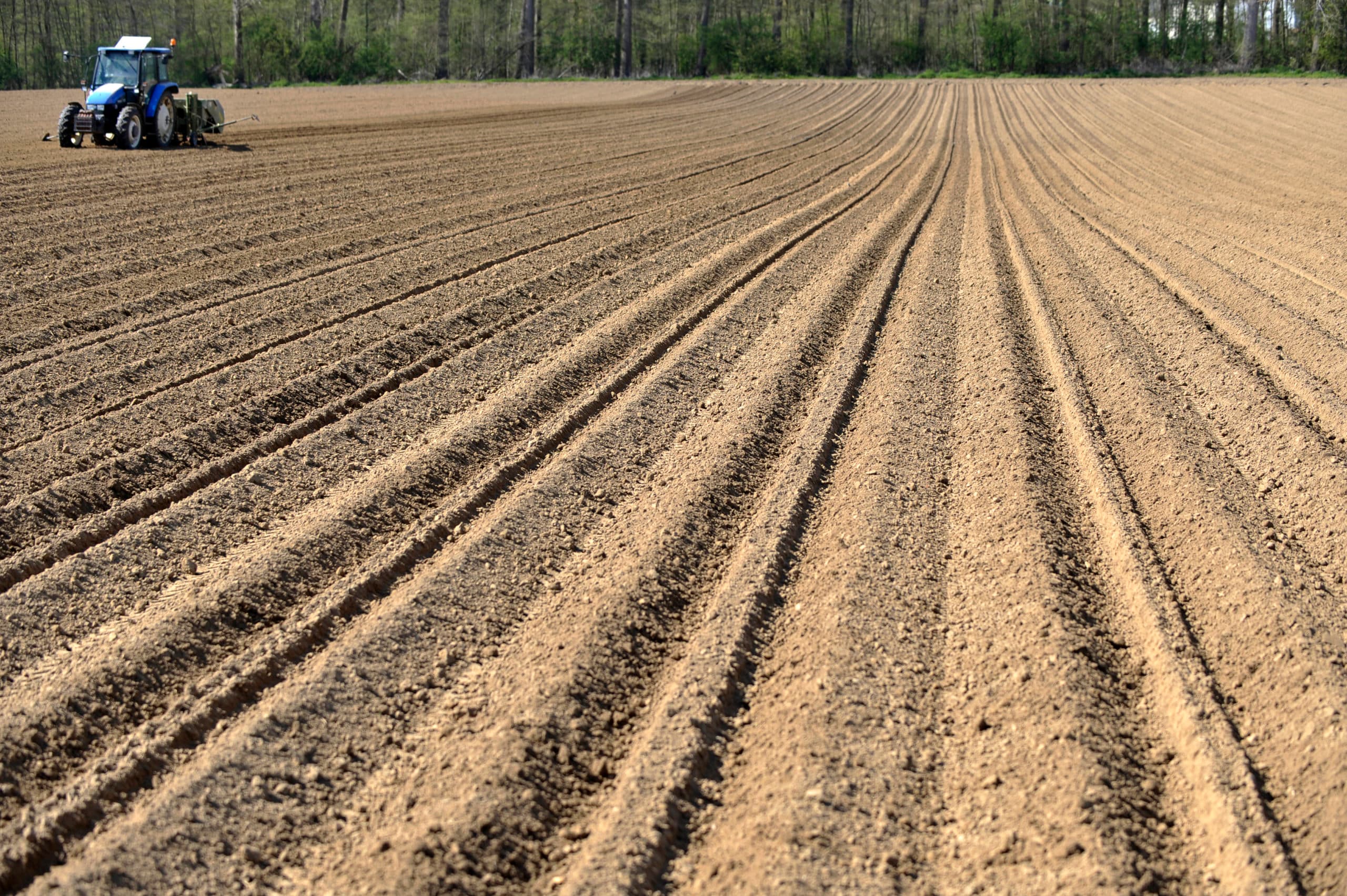 Waardestijging van grond is een belangrijk fiscaal onderwerp. In de landbouw is vooral behoefte aan de bv-nieuw, dat mogelijkheden biedt fiscaal anders om te gaan met bijvoorbeeld de waardestijging van grond. - Foto: Marcel van Hoorn