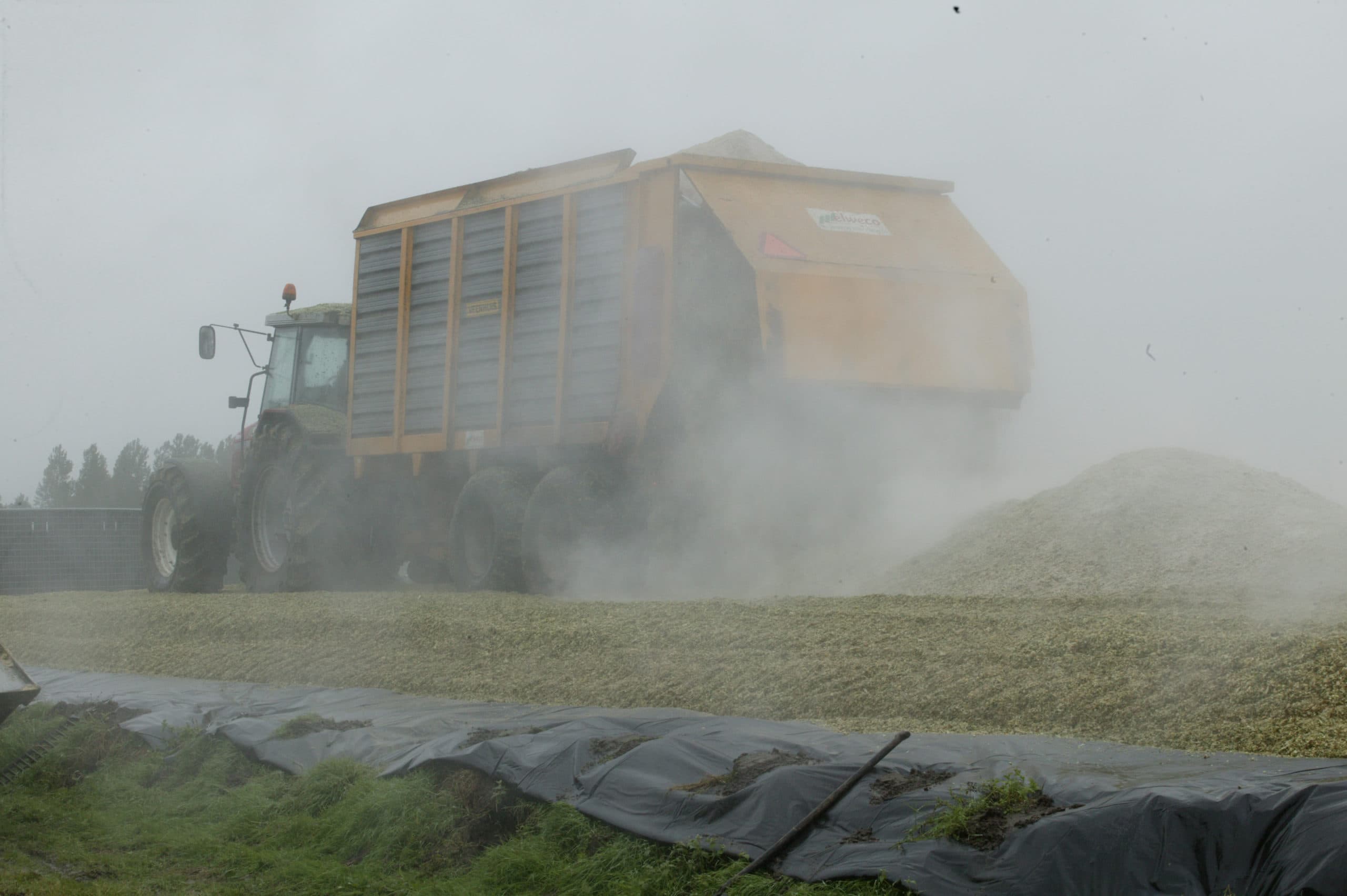 Foto: Henk Riswick