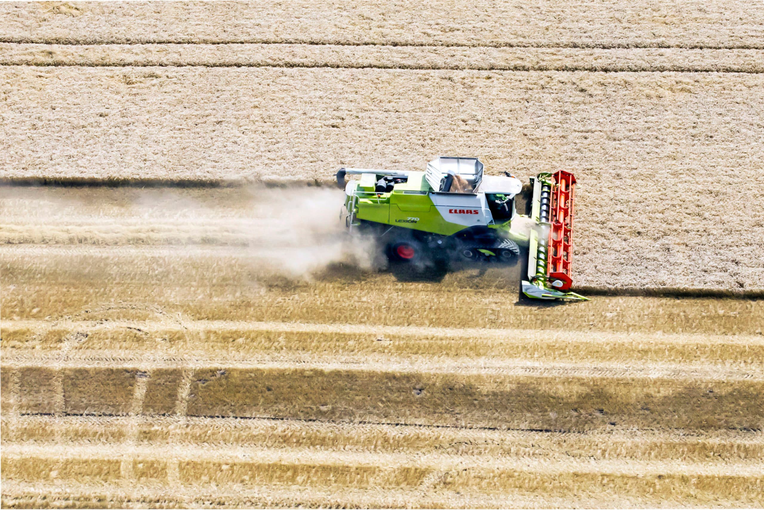 Foto: Koos van der Spek