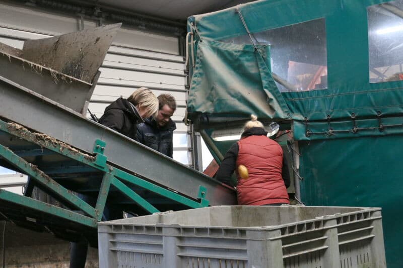 Deze vrachtwagen is vol en wordt afgedekt voor het vervoer naar de fritesfabriek.