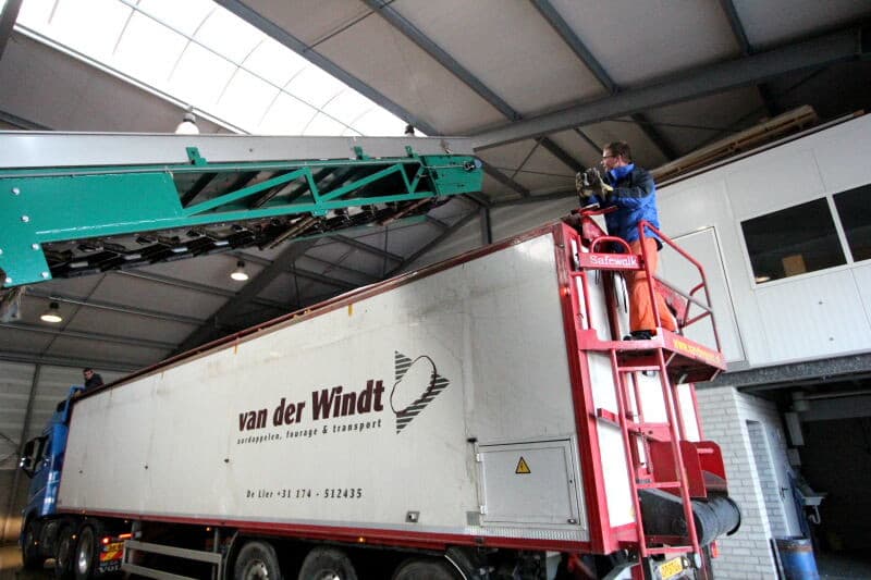 In de leeskamer worden door 6 medewerkers de groene, beschadigde en misvormde knollen uitgelezen.