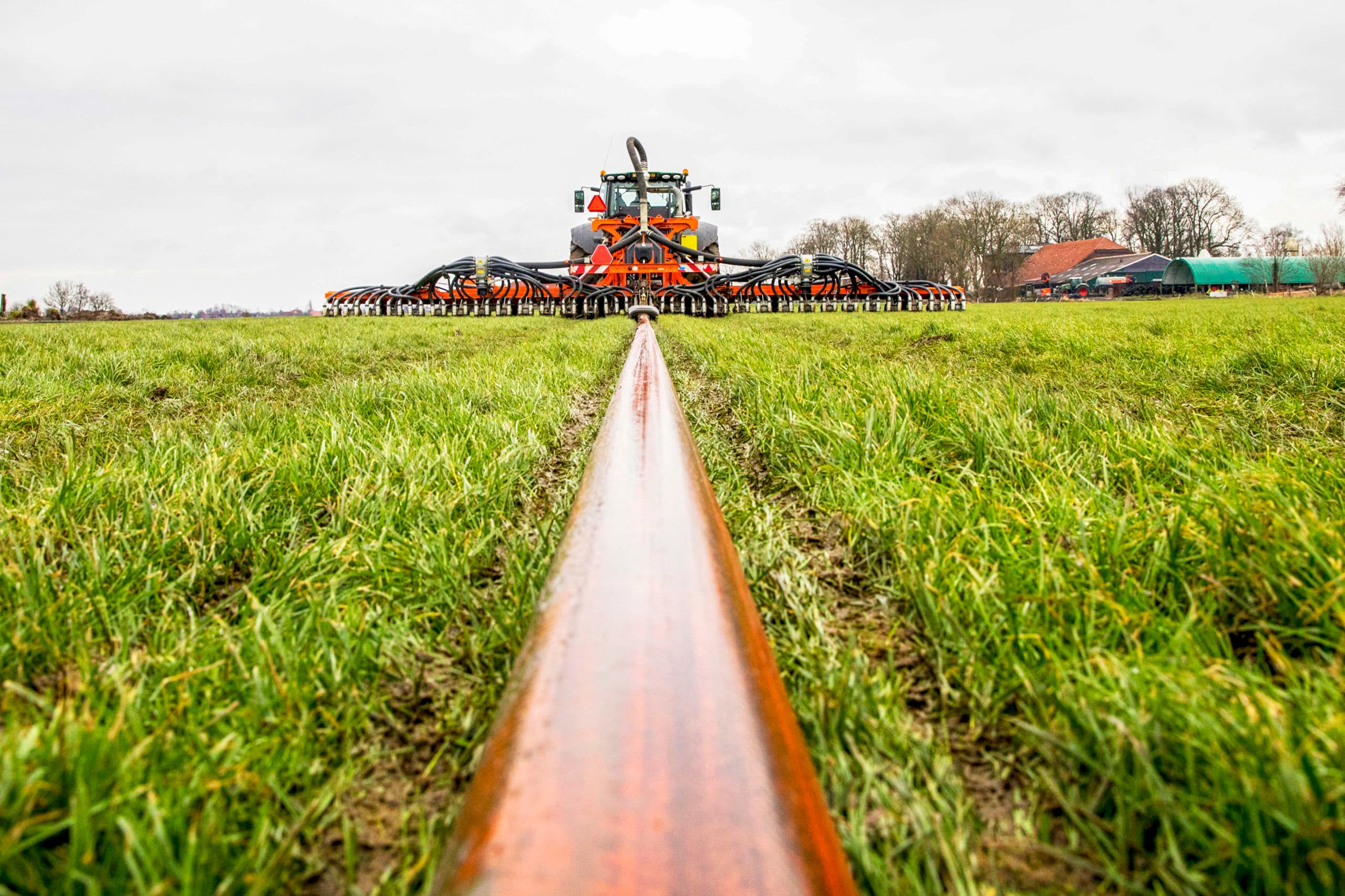 Foto: Koos van der Spek