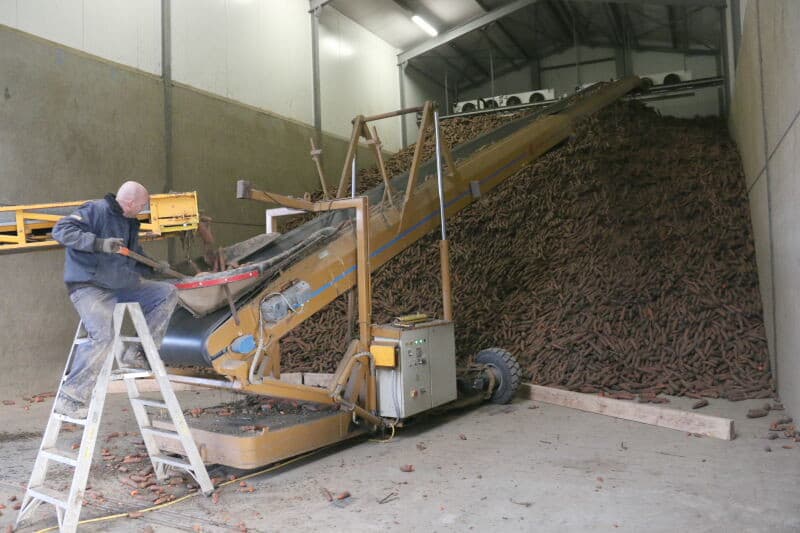 Een overzicht van het veld laat dat ook zien. In de zeefgrond op het gerooide deel van het veld zijn de sporen van de Grimme Tectron-rooier op rups wel goed zichtbaar, maar zeker niet diep. Rechts het spoor van een vrachtcombinatie.