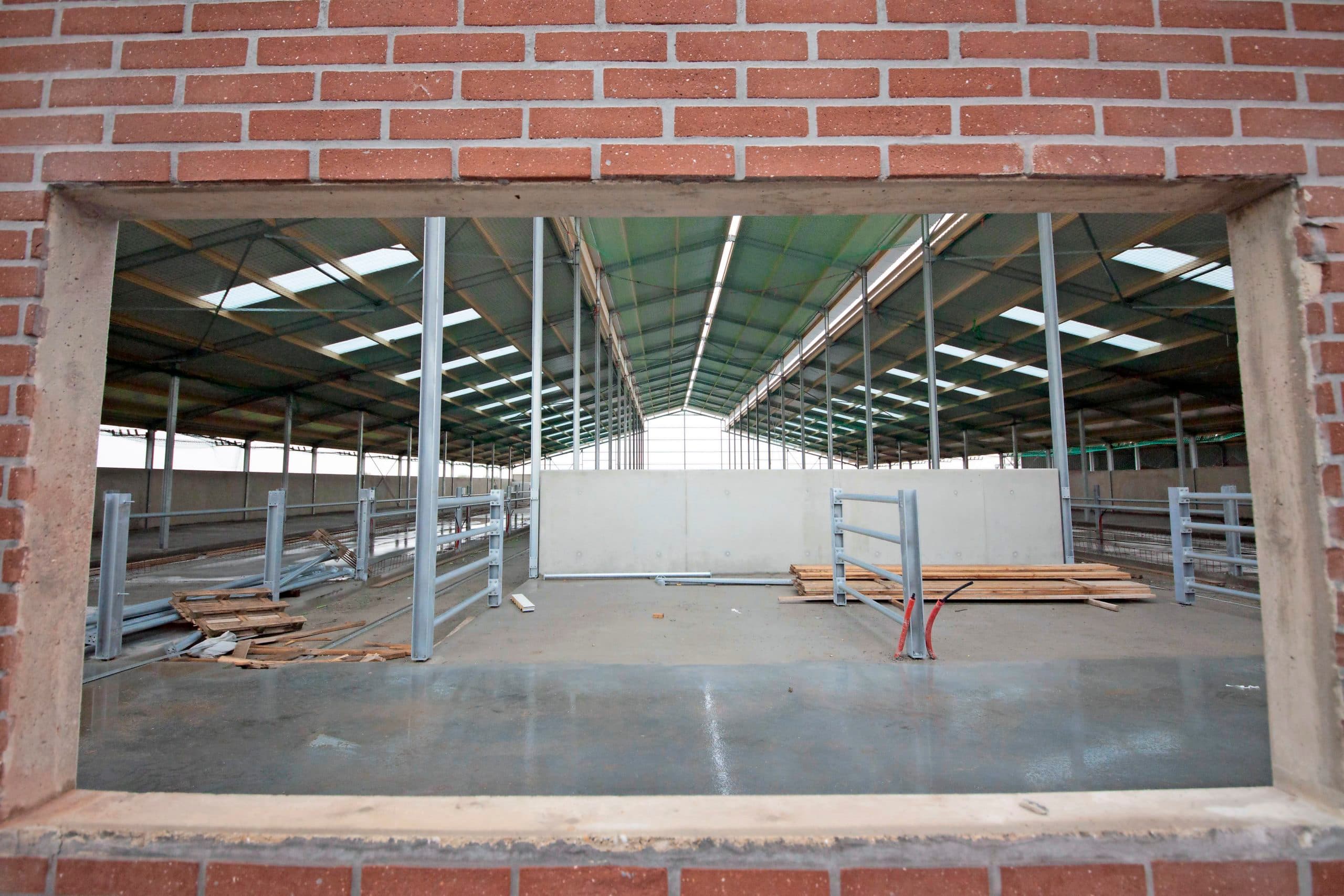 Foto: Koos Groenewold