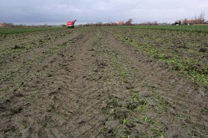 Dat het land zeker niet droog is, laat deze lopende drainbuis wel zien.