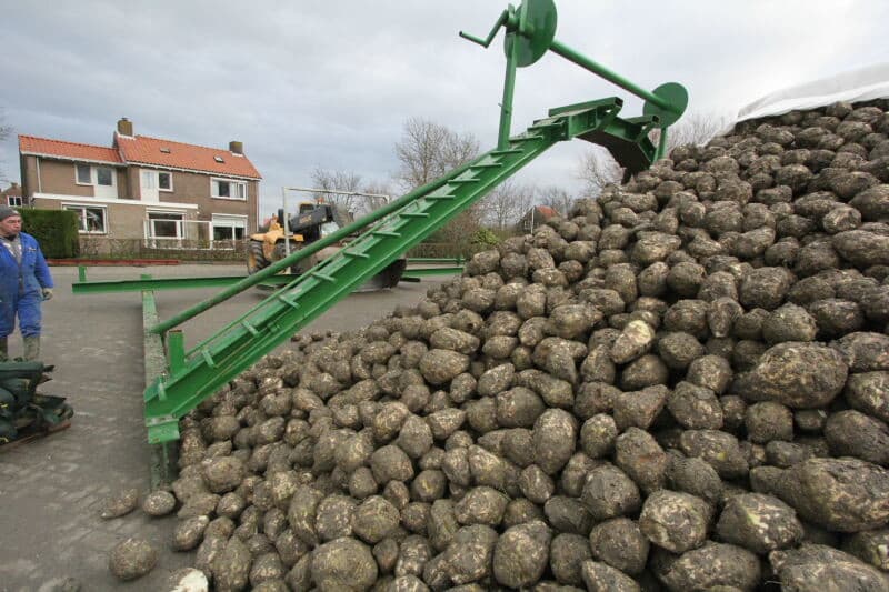 Om de hoop vanaf het begin goed op te zetten, worden de eerste vrachten op aanwijzing gestort.