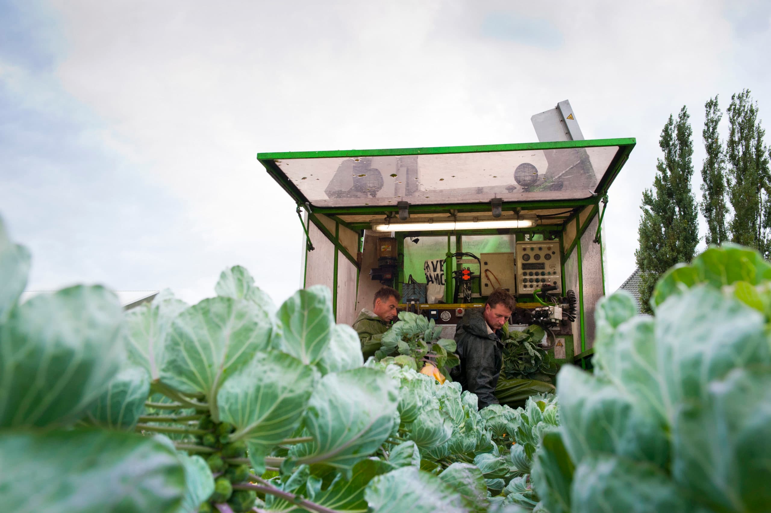 Foto: Wick Natzijl