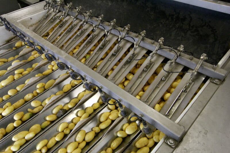 Indien nodig, worden partijen naderhand nog handmatig uitgelezen. Hoe verder in het bewaarseizoen, hoe vaker dat nodig is. Aan de scherpe blik van de dames aan de leesbanden ontgaat niets.