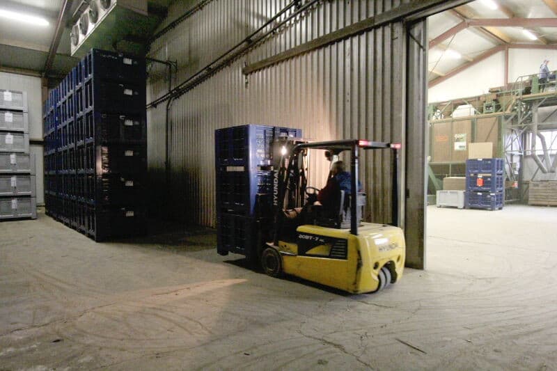In beginsel gaan de uitgesorteerde spruiten terug naar het perceel waarvan geoogst wordt. Een deel gaat nog weg als veevoer. Een schapenhouder komt hier een vrachtje voer ophalen.