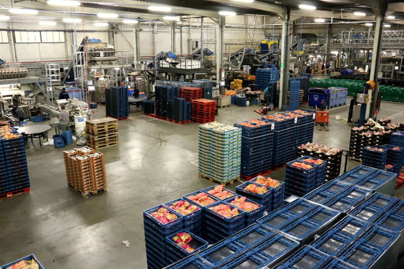 Een voor een gaan de aardappelen tussen rollen onder de detectiecamera's door. Deze rollen draaien langzaam zodat alle zijden van de aardappelen door de camera's bekeken kunnen worden.