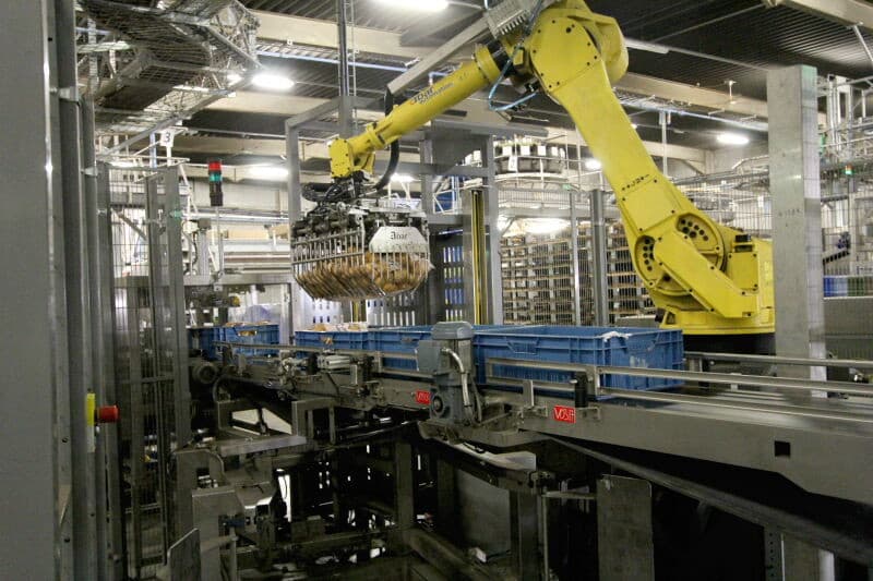 De kisten met optisch gesorteerde aardappelen gaan naar een volledig geautomatiseerd magazijn. Dit is een tijdelijke opslag voor zowel optisch als manueel gesorteerde kisten. Aan de hand van een barcode op de kist kan de computer bepalen wat er met de kist moet gebeuren.