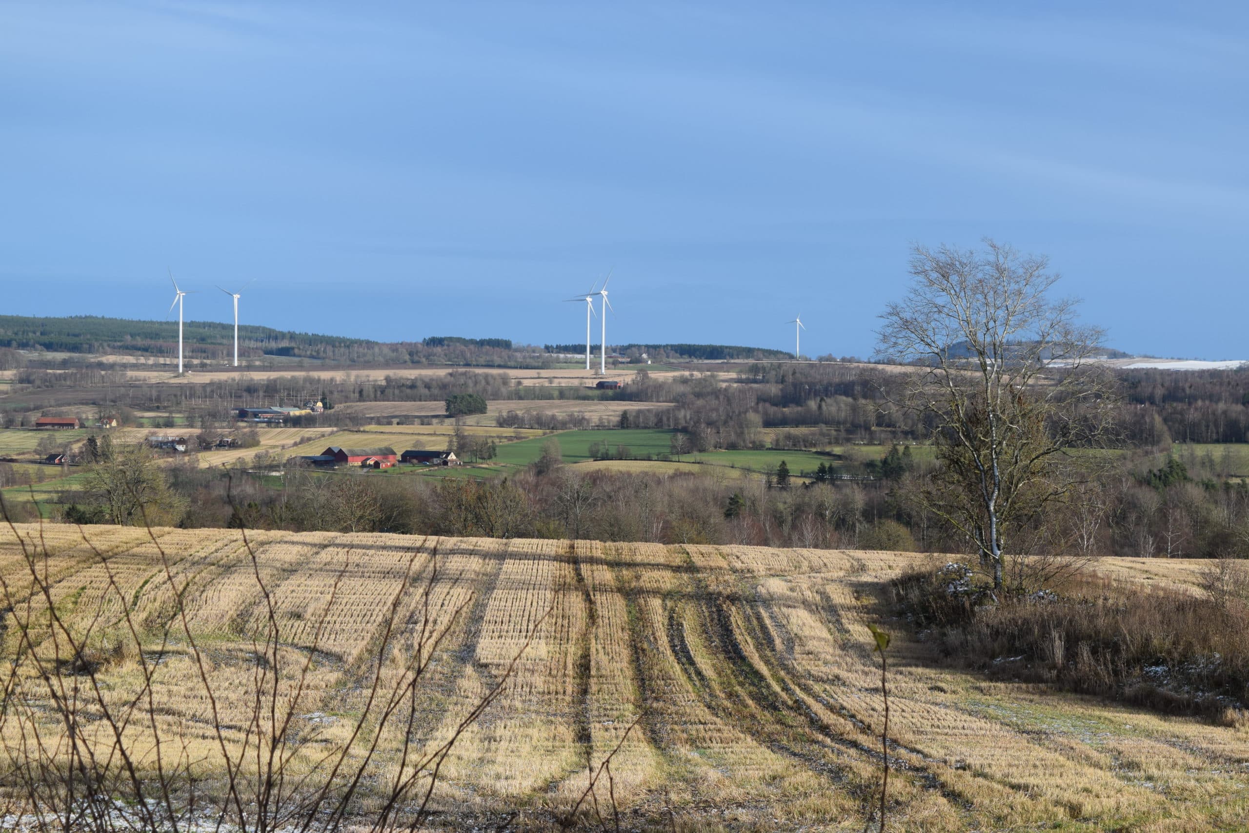 Foto: Theo Brummelaar