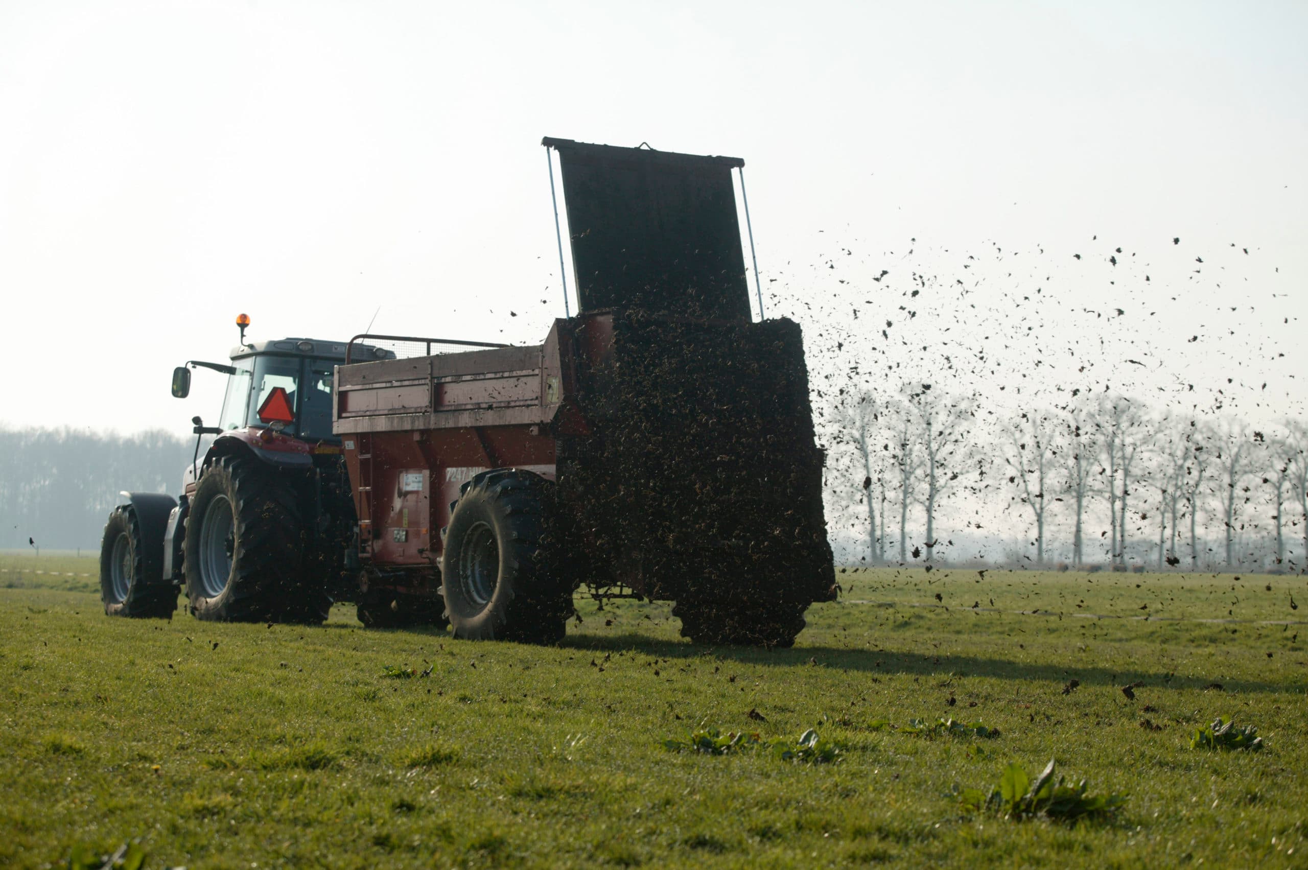 Foto: Koos Groenewold