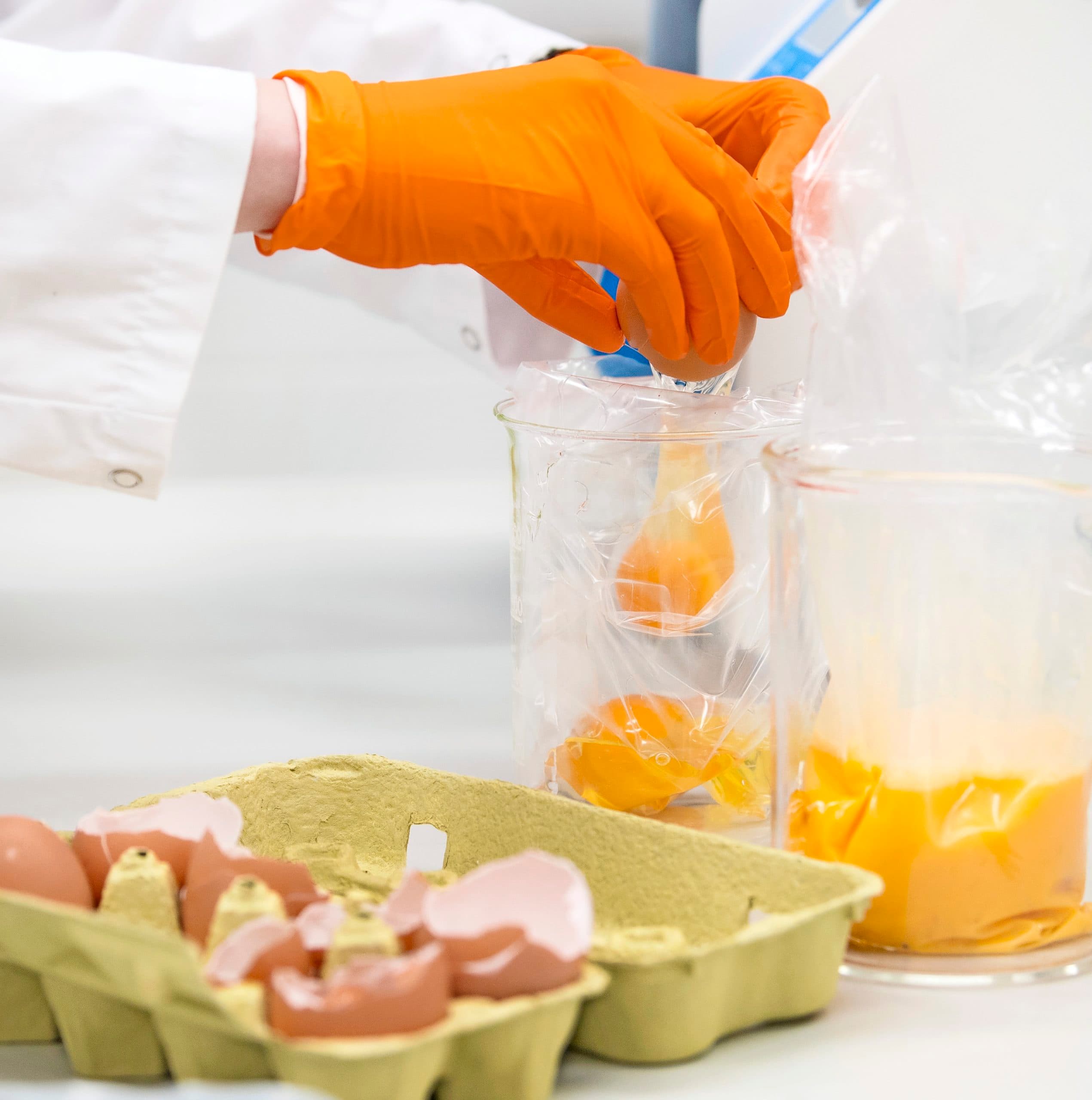 NVWA-onderzoek naar fipronil. - Foto: ANP