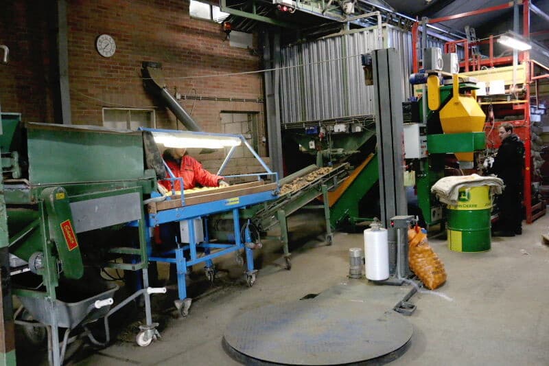 De maatschap bestaat uit zonen Maikel en Roy en hun ouders Marcel en Bernadette de Nijs. De door hun geteelde vrije rassen verhandelen en exporteren ze zelf. De onder licentie geteelde rassen worden via de handelshuizen afgezet.