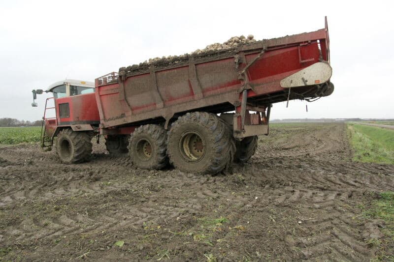 Een overzicht van het lossen met de loopbodem. Ook is goed te zien dat het wegdek waarover de bieten worden afgevoerd schoon is.