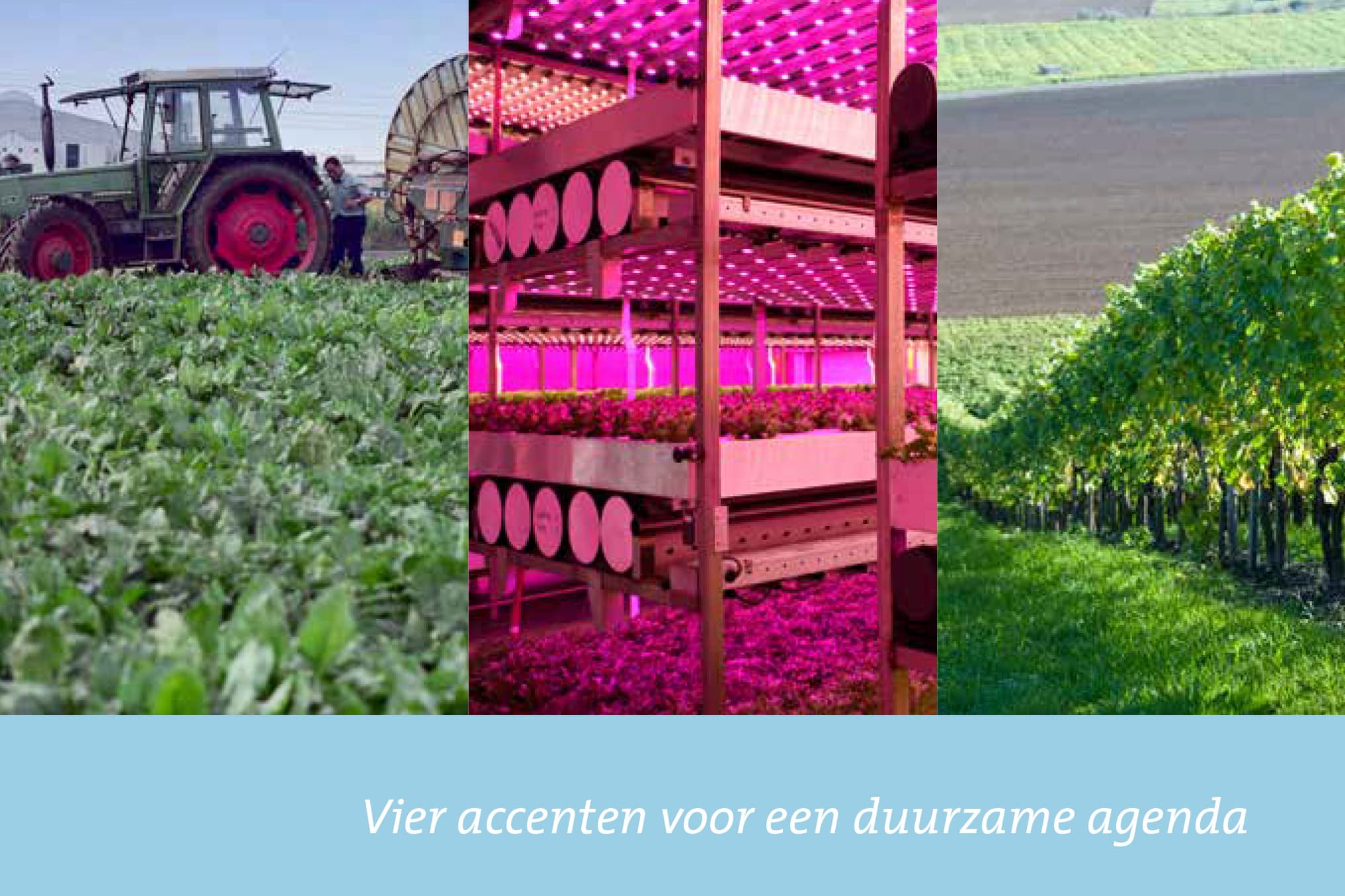 Screenshot van notitie 'Limburg agro voor de wereld van morgen'