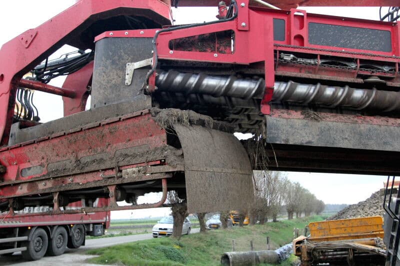Een indruk van de cichorei in de vrachtwagen. Geen losse tarra, maar wel wat puntbreuk.