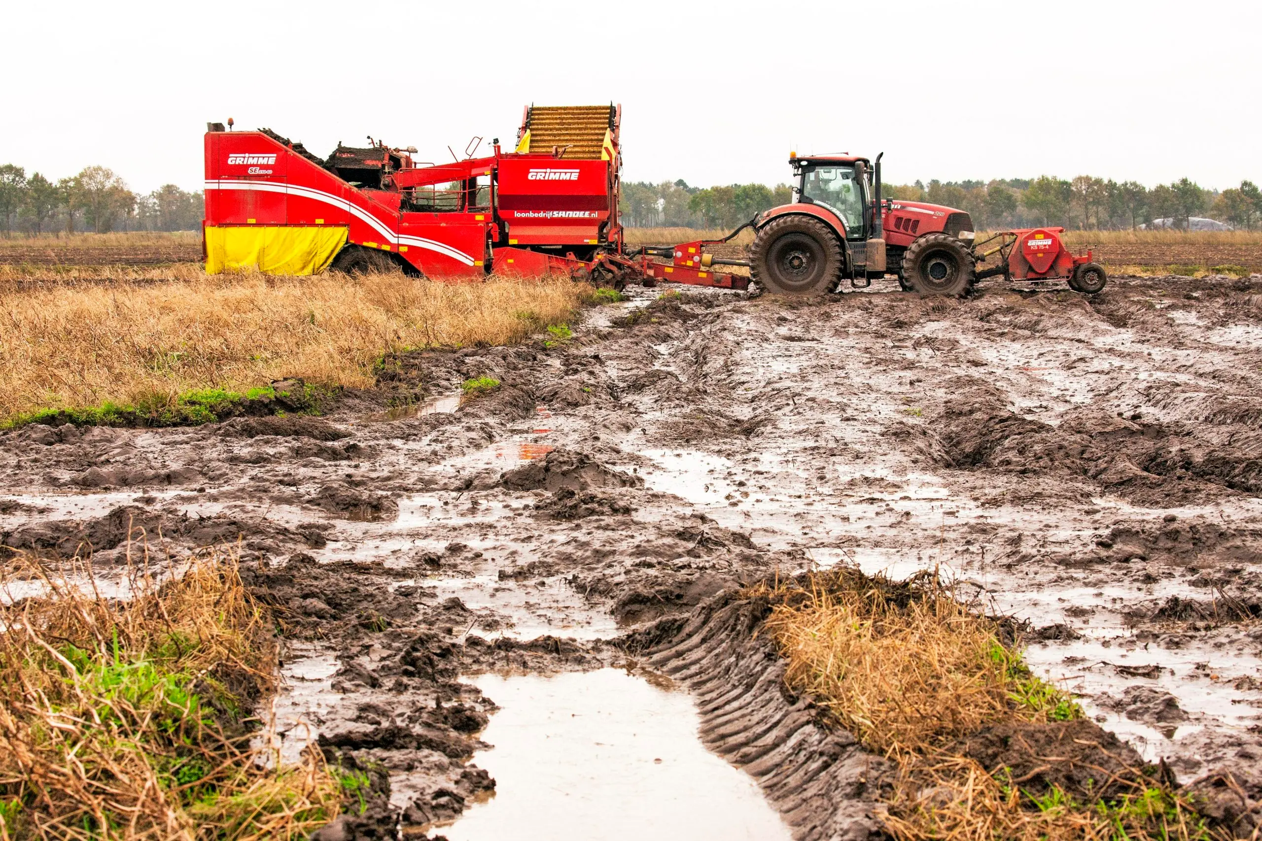 Loonbedrijf Sandee rooit zetmeelaardappelen in Wedde (Veenkoloniën) onder zware omstandigheden. Op dit perceel konden ze gisteren nog net aan de slag. Andere percelen waren te nat om te rooien. - Foto: Koos van der Spek