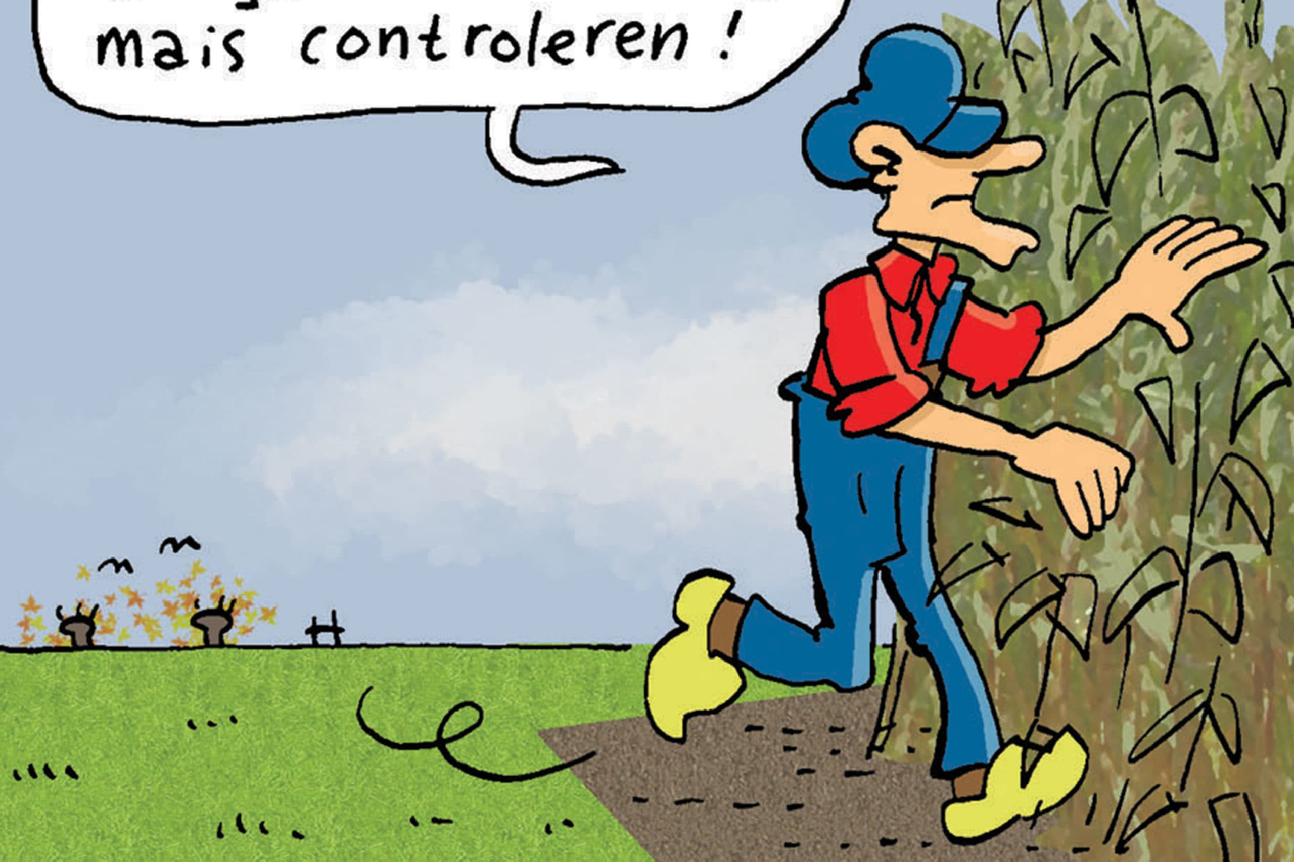 Tekst en tekeningen: Herman Roozen