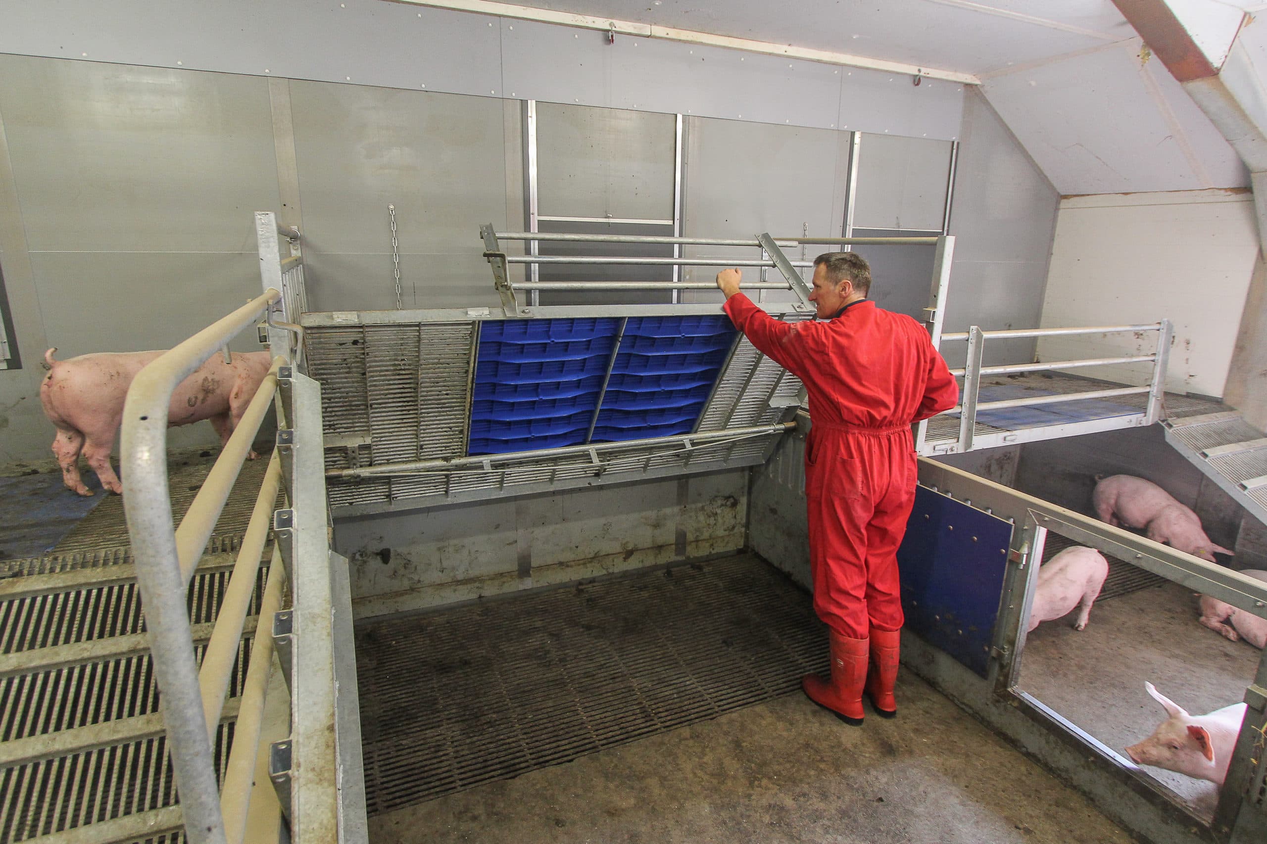 Foto: Matthijs Verhagen