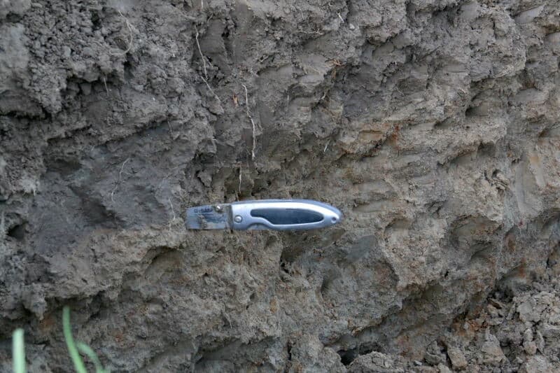 Delphy adviseur Nelis van der Bok geeft toelichting over de opbouw van de bodem het perceel. Kennis hebben van de profielopbouw is nodig voor de aanleg van een nieuwe drainage.