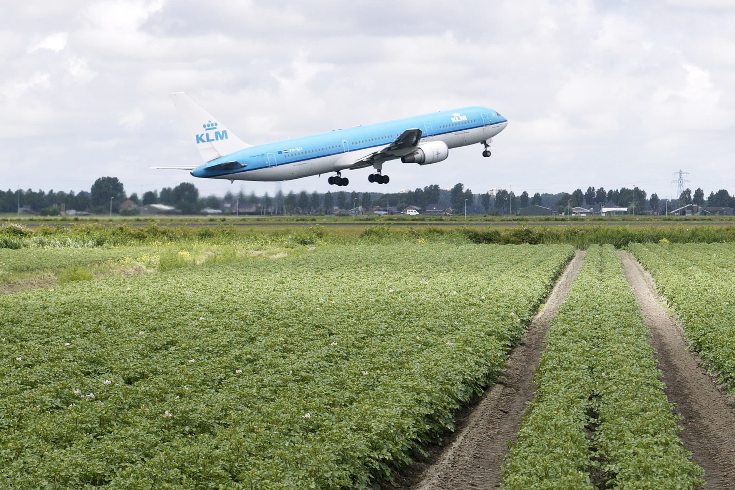 Foto: Hans Prinsen