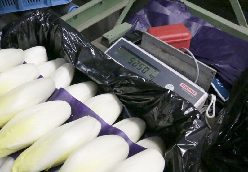 De logistiek om de volle trekbakken via een sproeisysteem te stapelen is door de familie Vermue zelf ontwikkeld. De basis is een aangekochte kettingbaan. Een volle trekbak, afkomstig van een van de twee intafelplaatsen, staat in de wacht totdat de baan vrij is. Een andere trekbak is op weg naar de stapelinstallatie.