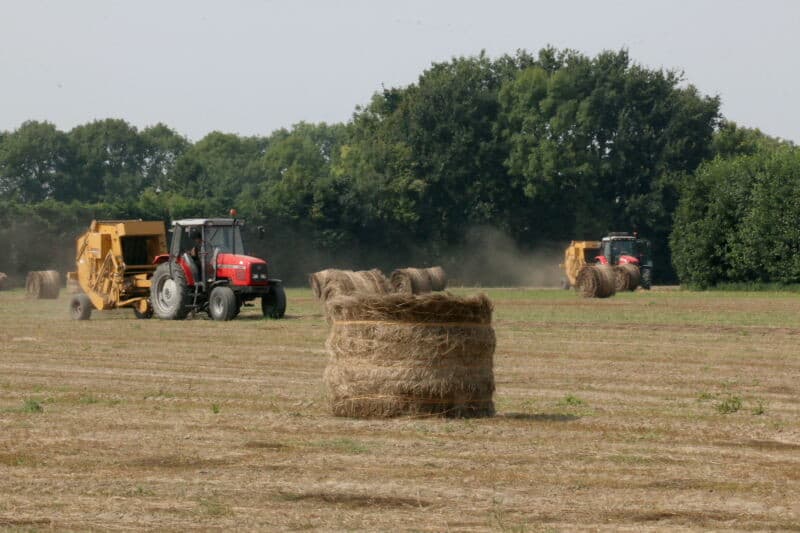 Foto: Anton Dingemanse