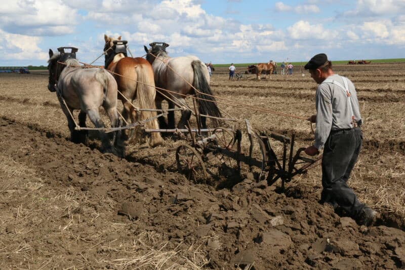 De derde plaats was voor Niek den Boer met 132 punten. Tweede in deze categorie werd Ruud Warren met 137 punten. De nummers 1, 2 en 3 waren allen Fendt-trekker met een ploeg Lemken.