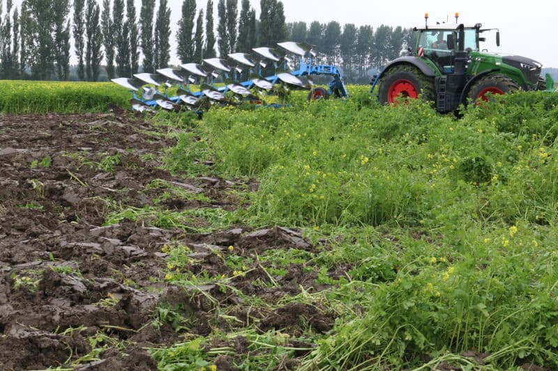 Beeld van het ploegen vanuit de cabine. Met een snelheid van ruim 7 kilometer per uur wordt de gele mosterd ondergewerkt en ligt het perceel winterklaar. Volgend jaar worden hier bieten gezaaid.