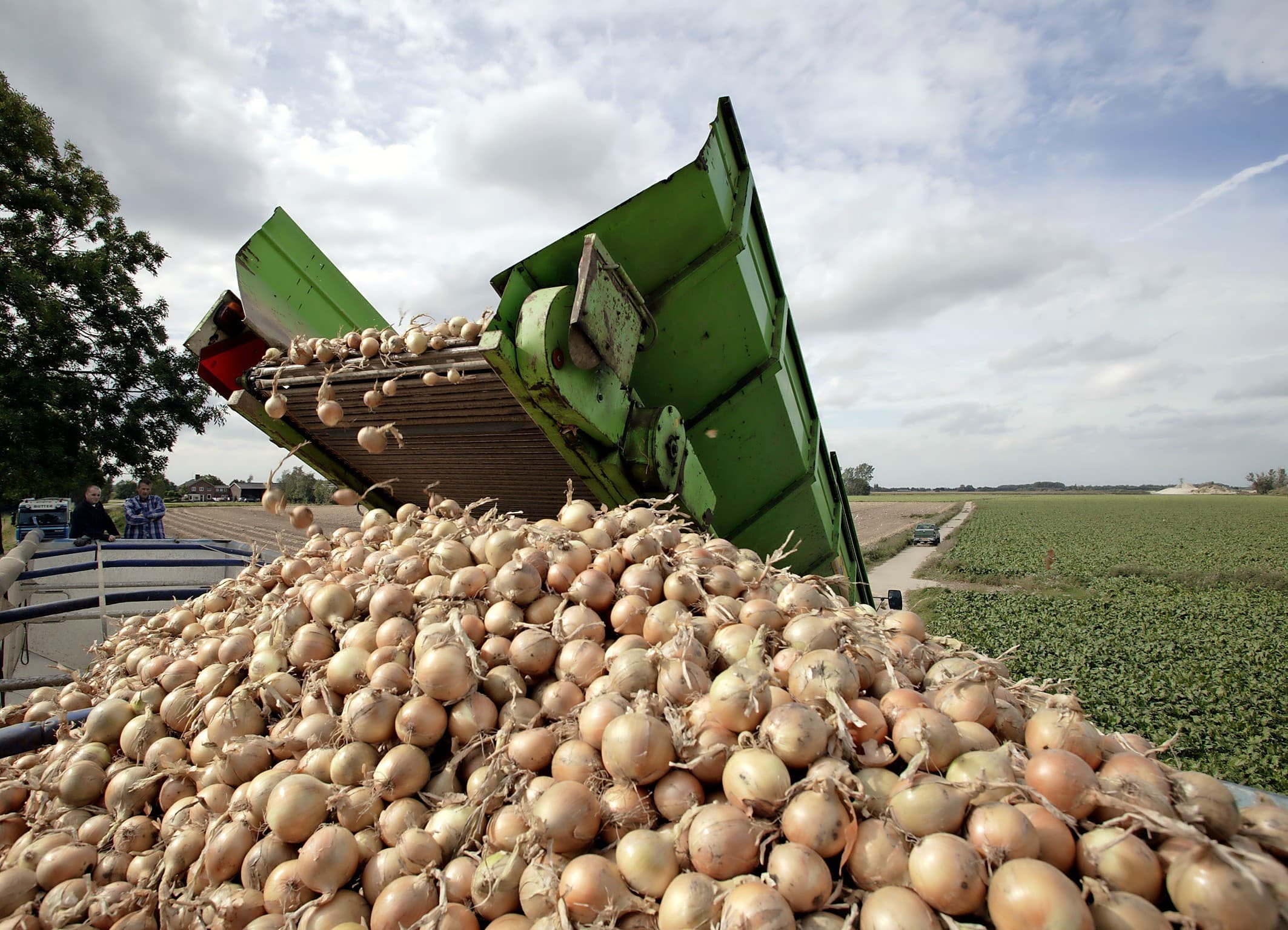 Uien laden - Foto: Robin Britstra