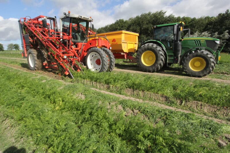 Ongeveer halverwege de klemband wordt door een roterende vingerborstel de nog aanwezige grond verwijderd. Hier kwam de peen dermate schoon uit de grond dat deze functie nu eigenlijk niet nodig was.