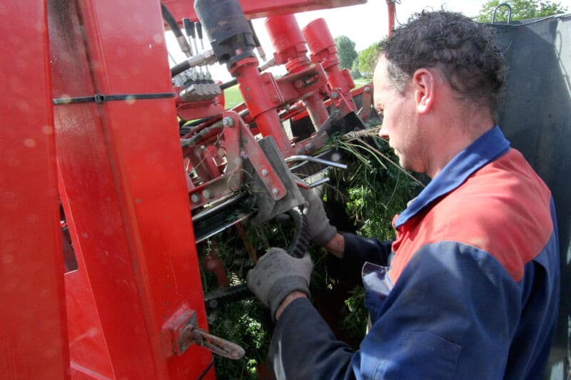 De peen valt op de zeefmat en van daar uit op de opvoerband naar de wagen.