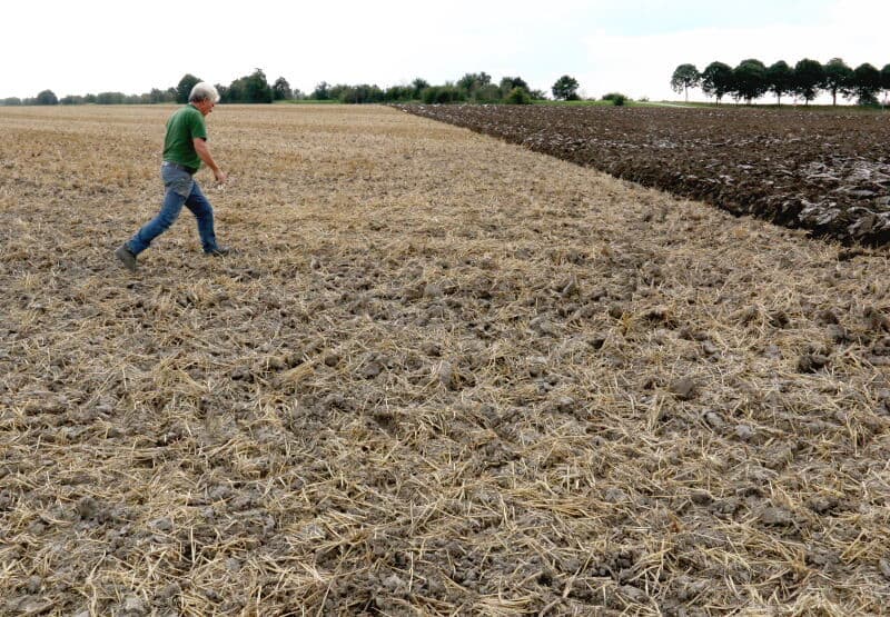 Op een ander perceel tarwestoppel van de KMWP wordt voor de vervolgbewerkingen eerst de drainage vernieuwd met sleufketting.