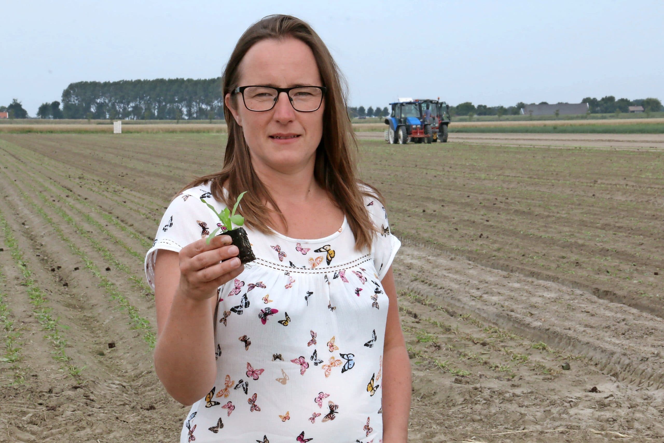 Charlotte van Sluijs heeft een goed gevoel bij de teelt van paardenbloemen voor de productie van rubber. De plantjes gaan de grond in.