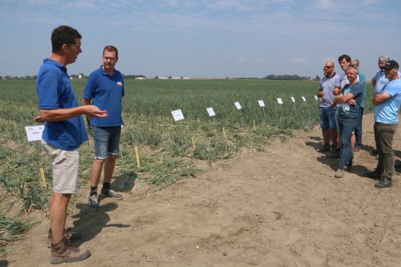 Bij een bemestingsproef is Urean in verschillende hoeveelheden en technieken en in combinaties met bijvoorbeeld KAS toegepast, om te zien in hoeverre er verslemping optreedt. Op dit veldje werd voor het zaaien 18-46-0, kort na het zaaien Urean met Teejet kunstmestdop en enkele weken geleden KAS 27% toegepast. De vergelijking is de toepassing van Urean met een standaardspleetdop voor zaai en na zaai.