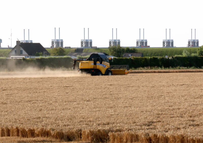 De tarwe was nog niet overal rijp. Vrijdagavond rond zeven uur dorst loonbedrijf Brasser uit Veere een stukje Residence voor akkerbouwsamenwerking Nieuw-Kampen in Kamperland, om het vochtgehalte te bepalen.