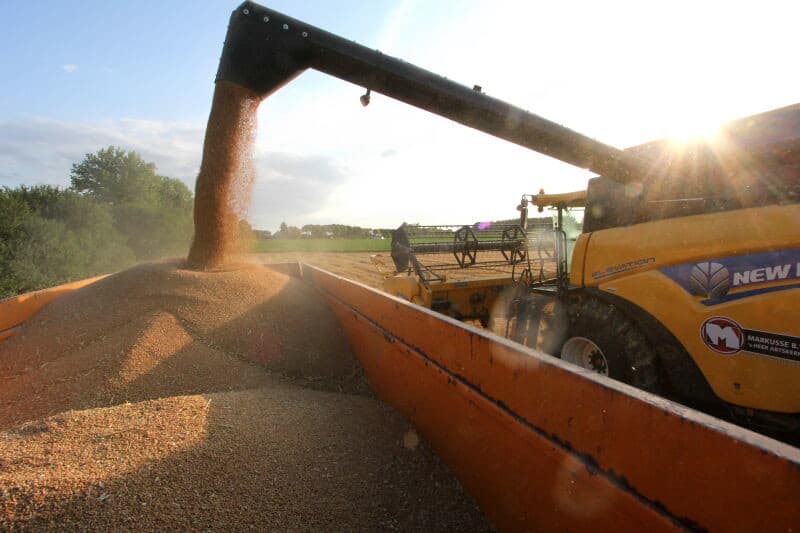 De tarwe wordt binnen gelost om later met een vrachtwagen naar de hoofdvestiging van CZAV in Wemeldinge te worden gebracht.
