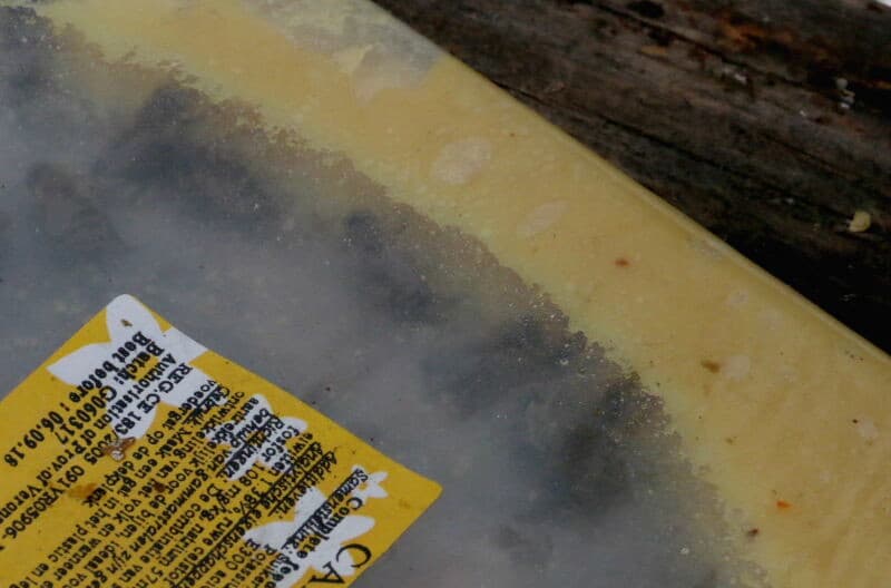 Omdat de bijen volkomen afhankelijk zijn van wat er in het afgeschermde deel te halen valt worden de bijen met stuifmeel bijgevoerd. Dit steriele stuifmeel is voor de bijen gelijkwaardig aan dat wat ze zelf verzamelen.
