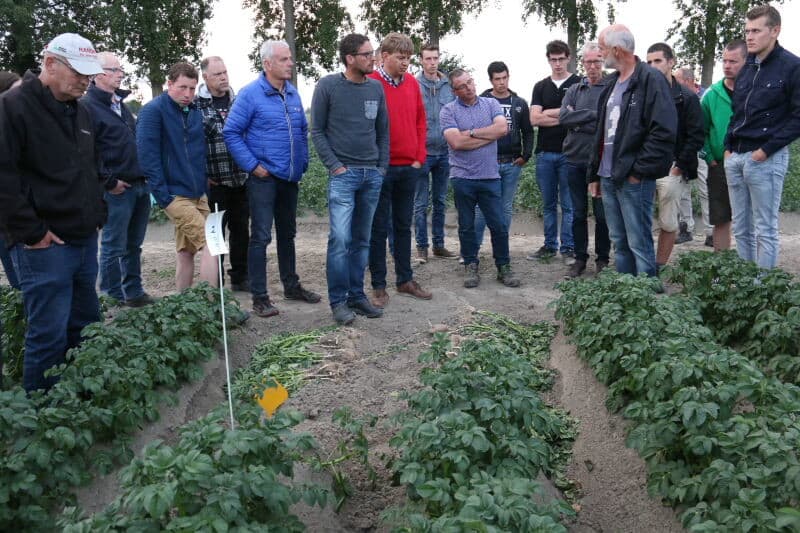 De bemestingsproef wordt alleen maatgevend geacht als er per veldje exact hetzelfde aantal planten staat. Het teveel aan planten wordt daarom gedood. Ook zijn er proeven waarbij minerale oliën en plantversterkers worden toegepast. Tijdens de open dag van de Rusthoeve zijn er rondleidingen op dit proefveld.