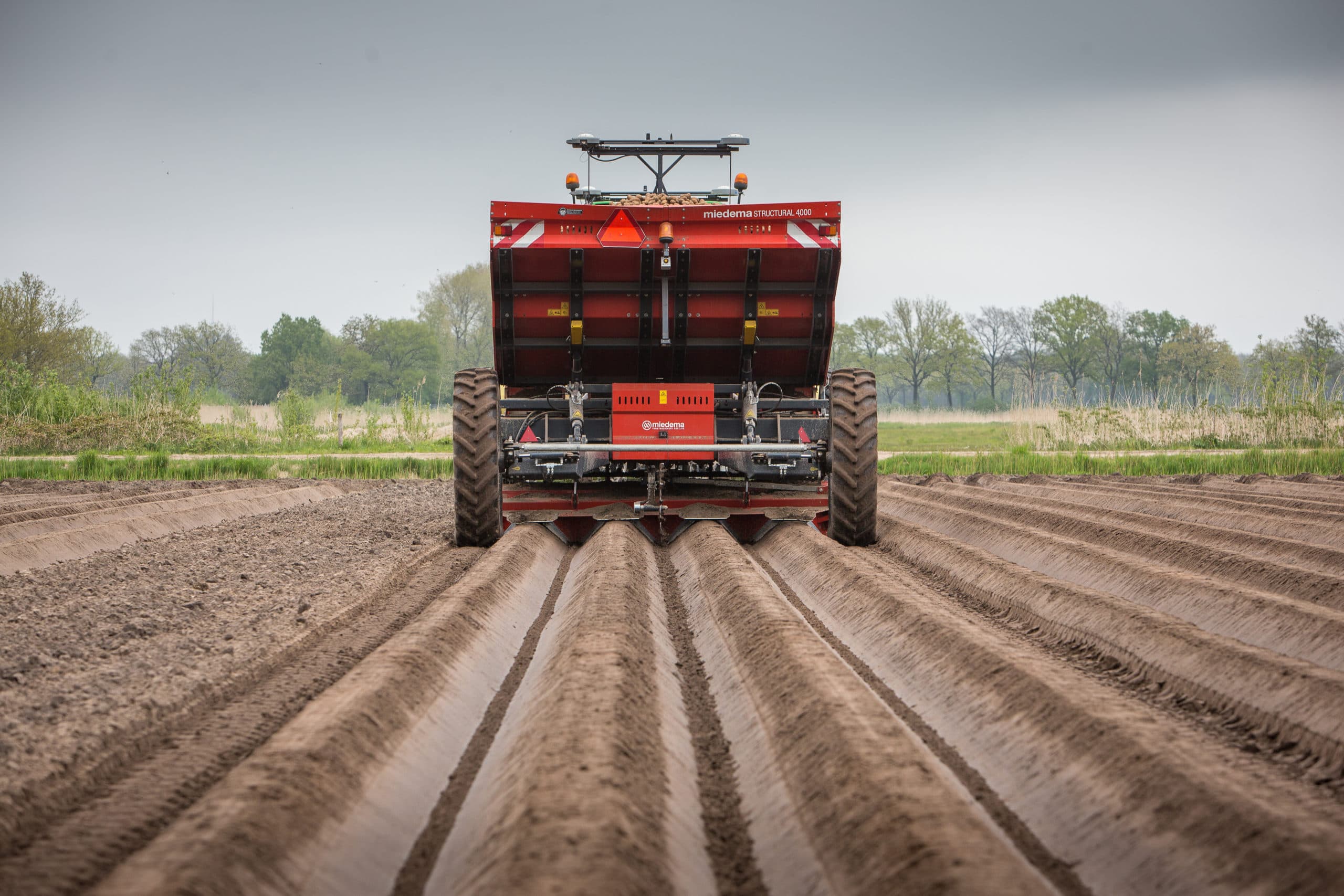 Foto: Peter Roek