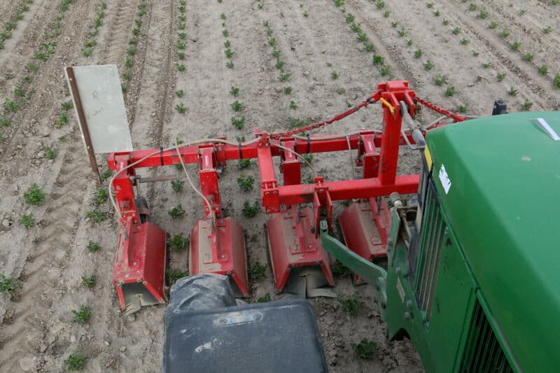 Voor dit werk is geen zware trekker nodig. Een oudere John Deere voldoet uitstekend voor dit lichte werk.