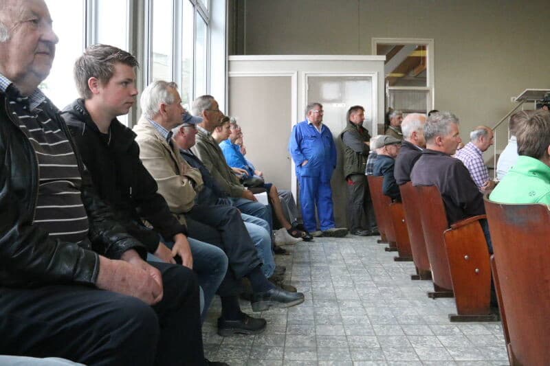 Op woensdag 7 juni zijn bij de Alvantho-veiling de eerste primeuraardappelen via de klok verkocht. Foto's: Anton Dingemanse