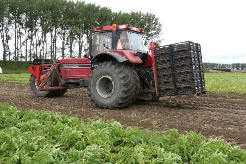 Ondanks de verlate pootdatum van de primeuraardappelen op Tholen begint er nu toch schot te komen in het rooien. Maatschap Gebroeders Gunter in St-Annaland is een van de telers die hun primeuraardappelen inmiddels kunnen rooien. Foto's: Anton Dingemanse