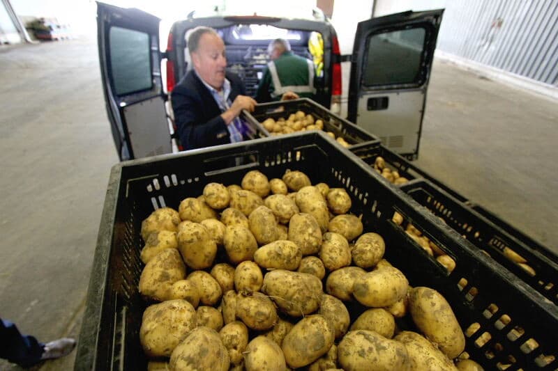 Het moeizame begin van het teeltseizoen vertaalde zich in een bijna historisch lage aanvoer, de eerste dag 65 ton tegen vorig jaar nog 113 ton. Veel telers voerden nog geen aardappelen aan omdat hun aardappelen nog niet aan de maat zijn. Wat aangevoerd werd was van goede kwaliteit met uitschieter deze partij Frieslander bonken. Deze partij ging weg voor ¬ 0,80 per kilo.