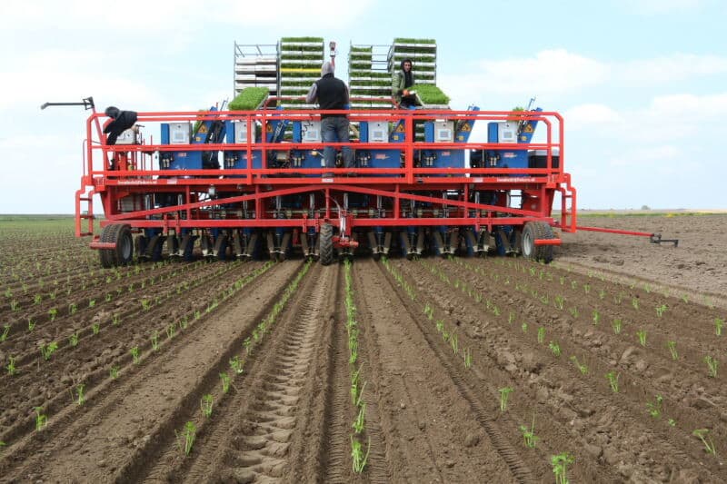 Vervolgens draait de rij lepels een kwart slag en laat de plantjes in het plantmechanisme vallen.